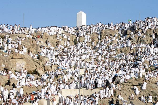 Etiquette of Standing and Supplication on Day of Arafah _ About Islam.jpg